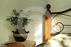 The interior of the bedroom in a minimalist design. Near the bed is a wicker bedside table, on it is a pot of palm trees. Sunlight