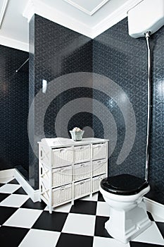 Interior of black and white bathroom