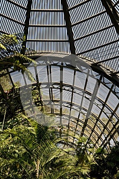 Interior of Botanical Gardens