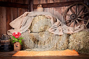 The interior of the building of the village. Wheel, hay, bucket, bottle, cloth, a pot of flowers.