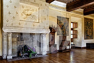 Interior chateau de Azay-le-Rideau, France