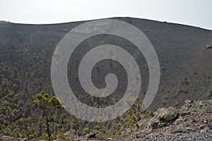 Interior Crater Of The San Antonio Volcano On The Island Of La Palma In The Canary Islands. Travel, Nature, Holidays, Geology.