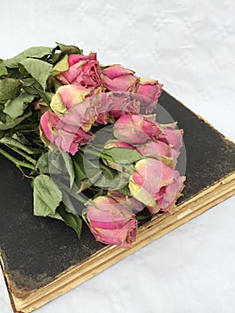 Interior decoration: dry roses on a old brown book