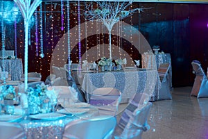 Interior decoration, winter theme for events photo