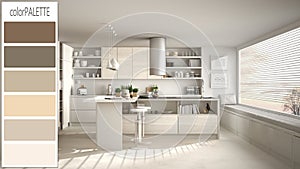 Interior design concept, architect designer, contemporary white kitchen draft with color palette, background idea