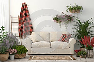 Interior with sofa, plants, and plaid