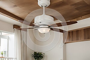 interior design in luxury villa, house, home, apartment feature white ceiling fan, Electric ceiling fan