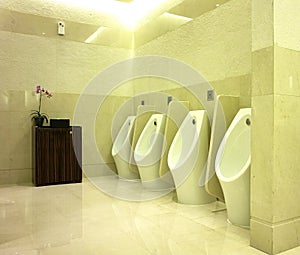 Interior Design of Men's Toilet