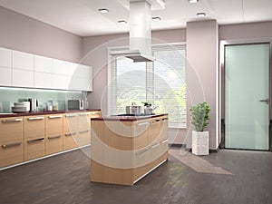 Interior design of modern kitchen with an island.