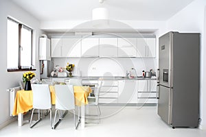 Interior design, modern and minimalist kitchen with appliances and table. Open space in living room, minimalist decor