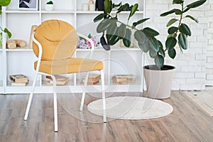 Interior design of room with soft chair, white square cells, shelves, with plant Ficus elastica Robusta, candles, books