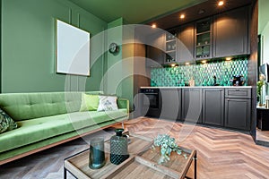 Interior design of small elegant apartment, home staging photo