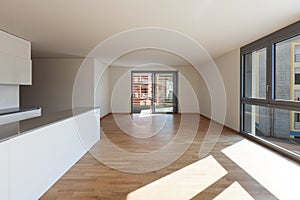 Interior, domestic kitchen