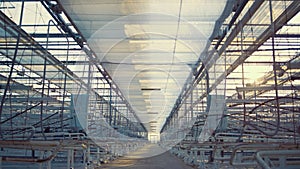Interior empty factory room with technological growing devices agro manufacture