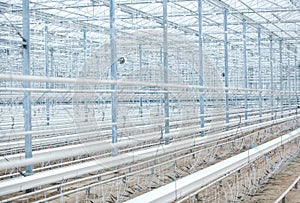 Interior of an Empty Industrial Greenhouse