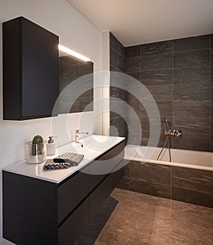 Interior of an empty and luxurious modern bathroom, nobody inside. It`s a private home