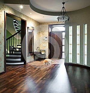 Interior of entrance hall with sleeping dog