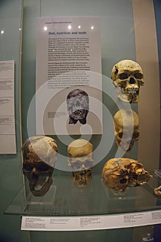 Interior and exhibits from different parts of the famous British Museum, London, England, United Kingdom