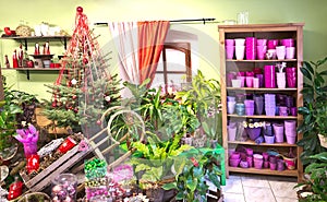 Interior of florist shop