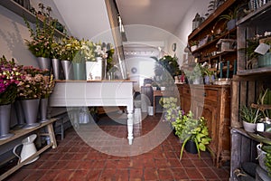 Interior Of Florists Shop With Counter And Colourful Flowers On Display