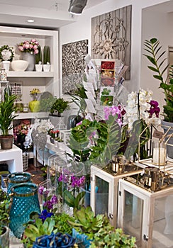 Interior of a flower shop