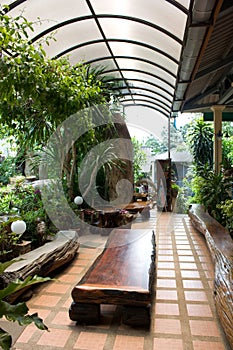 Interior garden