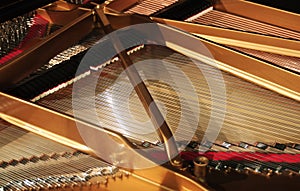 Interior of grand piano