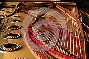 Interior of grand piano