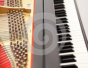 Interior of grand piano with keys