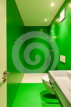 Interior, green bathroom