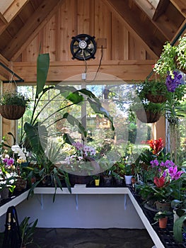 Interior of green house planting orchids