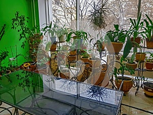 Interior of a green meeting room in a modern office