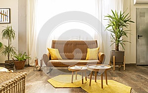 Interior home decoration. Corner in a living room / bedroom, with brown sofa, two wooden tables.