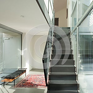Interior, iron staircase of a modern house