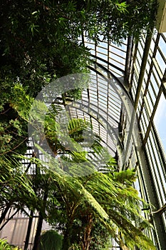 The interior of the Jardin d'hiver greenhouse