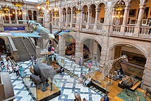 Interior of the Kelvingrove Art Gallery and Museum in Glasgow, Scotland, UK