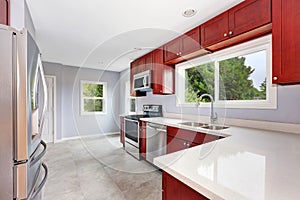 Interior of lavender kitchen with burgundy cabinets