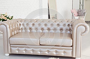 Interior, leather sofa in white room