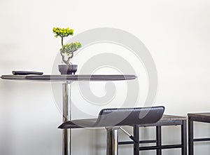 Interior living room table and chairs with trees in small pots on table