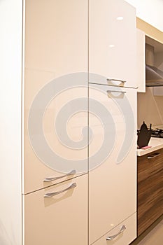 Interior of luxurious modern kitchen and walnut white cabinets