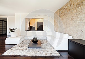 Interior luxury apartment