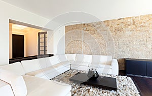 Interior luxury apartment