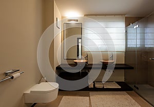 Interior luxury apartment, bathroom