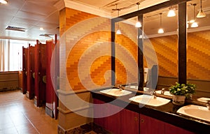 Interior of a luxury public restroom