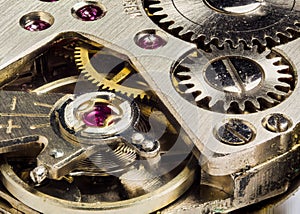 Interior of a mechanical lady's hand watch (extreme macro)