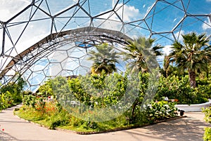 Interior of Mediterranean biome, Eden Project.
