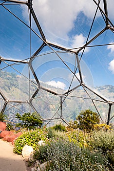 Interior of Mediterranean biome, Eden Project, vertical.