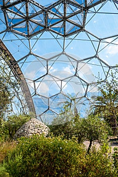 Interior of Mediterranean biome, Eden Project, vertical.