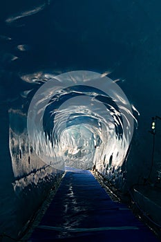 Interior of the Mer de Glace valley glacier in the French Alps photo