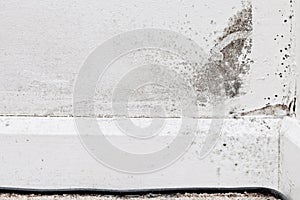 Interior mildew